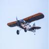 DW Hobby 1.88M ARF Balsa Savage Bobber (SCG3301) view 4