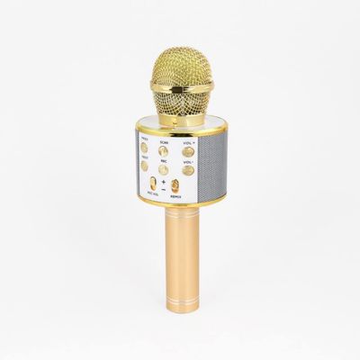 Wireless Microphone with Built-in Controller