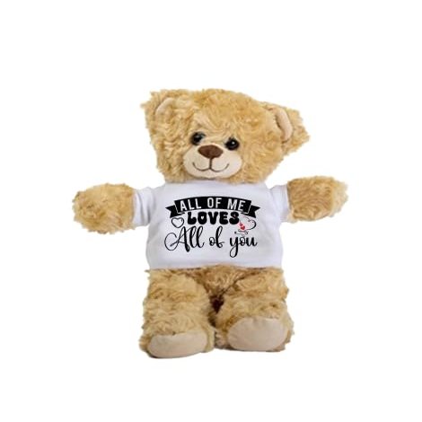 All of Me Loves All of You Teddy Bear  Gift for Valentines Day, Anniversaries, or Special Occasions - Birthday Idea