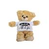 All of Me Loves All of You Teddy Bear  Gift for Valentines Day, Anniversaries, or Special Occasions - Birthday Idea view 1