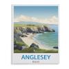 1000 Piece Jigsaw PuzzleAnglesey Vintage Travel Poster WalesAdults Children Paper Toy Educational Game38x26cm-A48 view 1