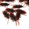 100pcs Fake Cockroach Halloween Props Party Prank Funny Trick Joke Halloween Party view 4