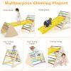 HONEY JOY Pikler Triangle Set, 5 in 1 Montessori Wooden Triangle Climber w/ 2 Stackable Ladders & Climbing Ramp, 3-Piece Baby Indoor Playground Jungle Gym, Climbing Toy for Toddlers, Colorful view 3