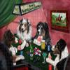 Home of Poker Playing Australian Shepherd Dogs Jigsaw Puzzle for Adults - Animal Printed Interlocking Puzzle Game Artwork - Gift for Dog Lover's - 300 Pcs 14"x20" view 1