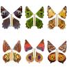 Butterfly Rope | Flying Butterfly Fairy Toy with Bright Colors,Flutter Butterfly Kids Toys for Nursery Schools Playgrounds view 1
