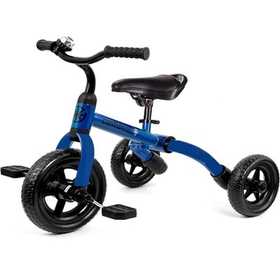 Foldable Tricycle (Blue)