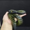 3D Printed Animals Set 3D Printed Snake Toys 3D Printed Articulated Flexible Fidget Toy 3D Printed Animals Exquisite Cute Pet Toy Children/Adults Fidget Toys (Black & Gold, 17.7) view 2