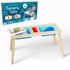 Chuckle & Roar - Play and Create Sensory Table - Indoor Mess Free Fun - Sensory and Tactile Engagement - Great for Preschoolers - Ages 3 and Up view 1