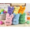 2025 Personalized Easter Bunny Plush Toy Easter Basket Stuffer Custom Name Peeps Plush Bunny Boys Girls Easter Gift Party Swap Gift view 2