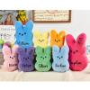 2025 Personalized Easter Bunny Plush Toy Easter Basket Stuffer Custom Name Peeps Plush Bunny Boys Girls Easter Gift Party Swap Gift view 3