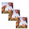 WELLDAY Funny Chicken Farm Baby Washcloths, 3 Pack of Cotton Newborn Washcloths, Extra Soft & Ultra Absorbent Muslin Washcloths Baby, Unisex 12 X 12 in view 2