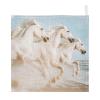 WELLDAY White Horses Baby Washcloths, 3 Pack of Cotton Newborn Washcloths, Extra Soft & Ultra Absorbent Muslin Washcloths Baby, Unisex 12 X 12 in view 1