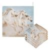 WELLDAY White Horses Baby Washcloths, 3 Pack of Cotton Newborn Washcloths, Extra Soft & Ultra Absorbent Muslin Washcloths Baby, Unisex 12 X 12 in view 3