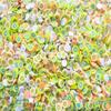 Pastel Tropical Fake Sprinkles with Fruit Slices and Resin Ice Chunks, Miniature Sprinkles for Crafts, Fake Bake, Slime, Decoden (15 gram bag) view 2