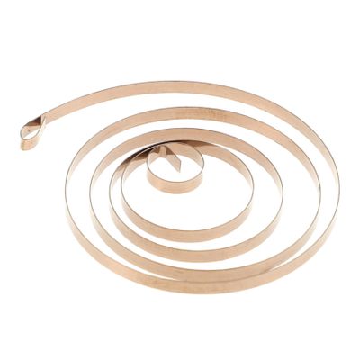 BRIGHTFUFU Stainless Steel Wind up Spring Replacement for Toy Scroll Spring Easy Installment for Mechanical Toys