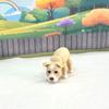 3D Printed Dog with Dog House, Articulated Pitbull Puppy Dog Animal Toy, Man's Best Friend, Fidget Animal Dog Toy, Office and Home Decor - ADSET3-PIT-BH view 4