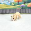 3D Printed Dog with Dog House, 3.5" Articulated Pitbull Puppy Dog Animal, Man's Best Friend, Fidget Animal Dog, Office and Home Decor - ADSET3-PIT-PH view 3