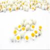 1:12 Dollhouse Food Lot 10 Boiled Egg Miniature Food Easter Egg Supply 16976 view 3
