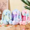2025 Baby's First Easter Plush Bunny Custom Embroidered Name Easter Bunny Easter Basket Stuffer Baby Shower Gift view 2