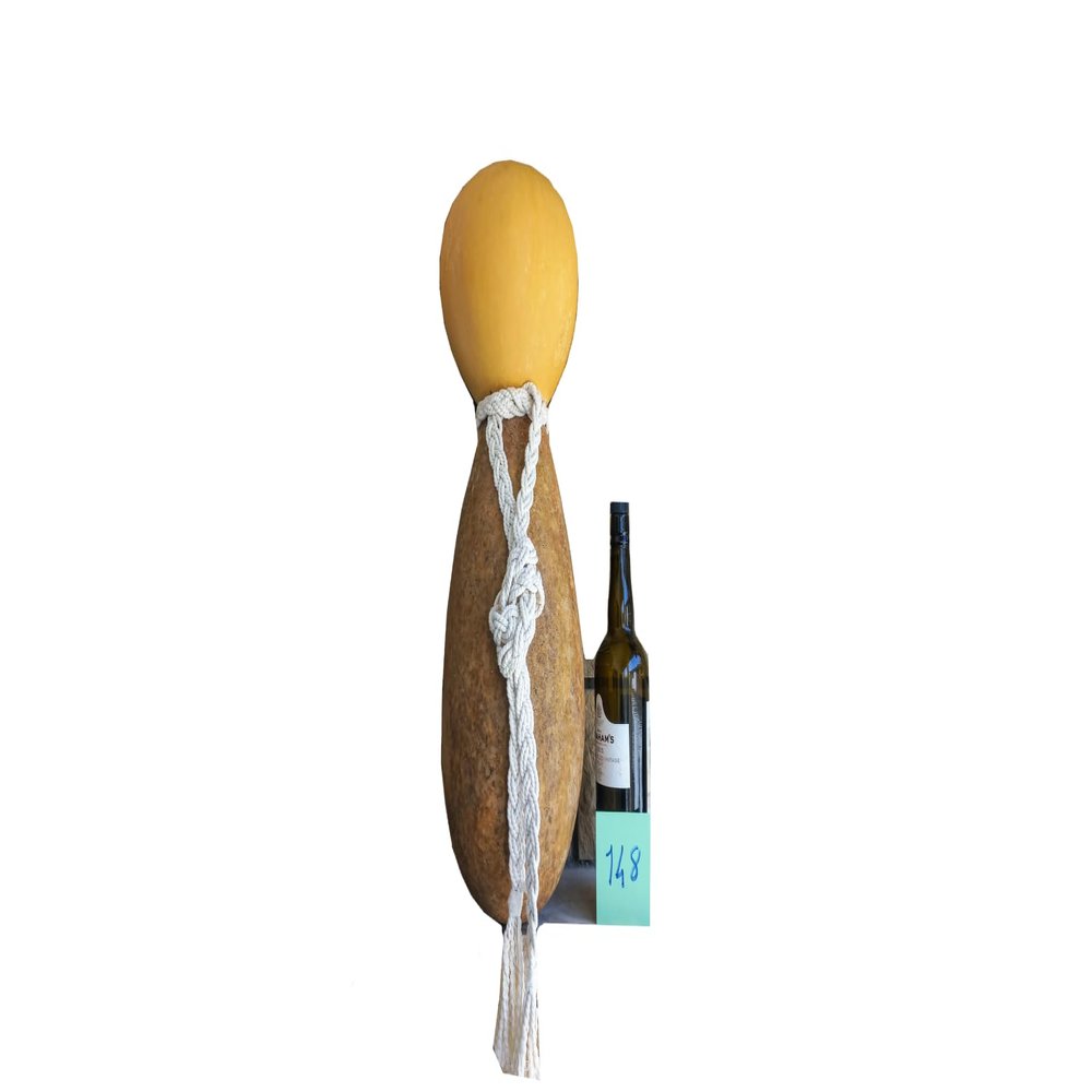 22 inches high Hawaiian Ipu Heke Drum Instruments, Natural Ipu Heke Rhythm Instrument, Hawaiian Percussion, Anniversary gift