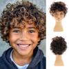 Dsimeig Brown Kids Wig Short Curly Child Synthetic Boys Wig Cosplay Halloween Costume Party Use view 1