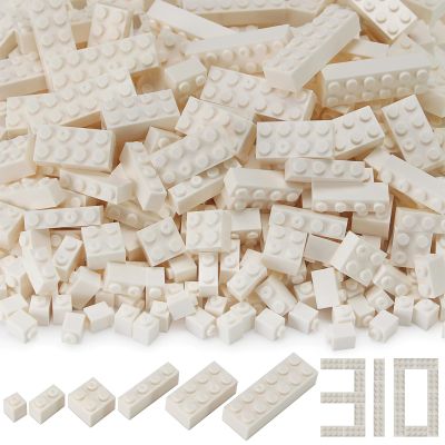 Feleph Basic Bricks Bulk Mixed Type 1x1, 1x2, 2x2, 1x4, 2x4, 2x6, 310 Pieces Block Set Part for Kids Classic Compatible with Major Brands (White)