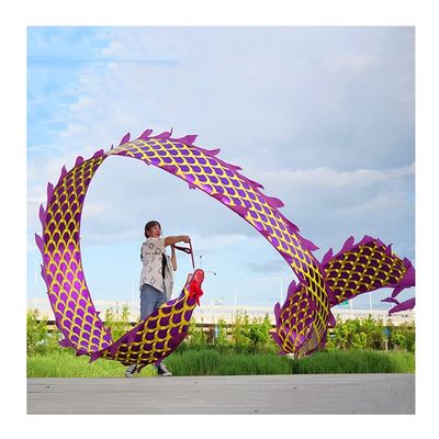8KLANMMQ Dragon Dance Flinging Ribbon, Outdoor Exercise Kung Fu Fitness Throw Streamer, Silk Flowy & Shaking Poi,4 Colors, 3 Sizes (Color : Purple, Size : 6m/20ft) (Purple 10m/33ft)