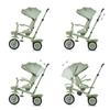 Chipolino Tricycle Marathon 2-in-1 Tricycle, Reversible Seat, Rubber Wheels, Roof, Colour: Green view 3