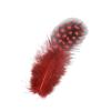 20 pieces/batch 5-10cm wild chicken feather jewelry creation, colorful feather embroidery crafts, holiday decorations(Natural) view 3