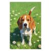 1000 Piece Beagle Dog Breed Puzzle for Adults, Wooden Jigsaw for Challenging Fun view 3