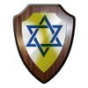 ALFASHIRT Coat of Arms David Stern Israel Judaism Rabbi Religion Badge #9262 view 1