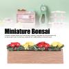 1:12 Doll House Flower Bed Wood Resin Miniature Bonsai for Window Sill Balcony Dollhouse Decor Scale Doll House Miniature Plant Model view 3