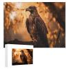 1000 Pieces Puzzles for Adult Jigsaw Puzzle Majestic Bald Eagle Perching On Tree Branch Puzzle Gift for Mom Dad Family Friend Family Activity Games Home Decor Wall Art view 4
