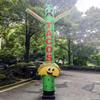 18ft Tacos Sky Inflatable Dancer Guy (Green) - Eye-Catching Burritos & Taqueria Air Puppet Mexican Food Shops Events - Wavy Dancing Man Outdoor Advertising Tool Boosting Foot Traffic (Without Blower) view 2