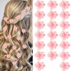 Spring Flower Hair Clips,20Pcs Cherry Blossoms Alligator Clips,Pink Floral Hairgrips for Women,American Sakura Festival Hair Accessories for Girls Children view 1