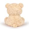 Adorlynetty 9.8 inch Teddy Bear Stuffed Animal, Cute Plush Teddy Bear, Soft Stuffed Plush Bear Toy Gift for Kids, Girlfriend, Birthday, Beige view 3