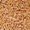 Perfect Tan Pecker Naughty Sprinkles, Funny Dicks Sprinkles Bachelorette Party Decorations, Risque Cake Toppers, Adult Gag Gift (8oz Bag) view 1