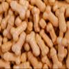 Perfect Tan Pecker Naughty Sprinkles, Funny Dicks Sprinkles Bachelorette Party Decorations, Risque Cake Toppers, Adult Gag Gift (8oz Bag) view 3