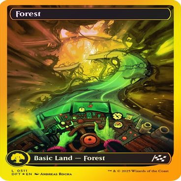 Forest (511) (Full Art) (First Place Foil) MTG