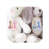2025 Personalized Printed Bunny Customizable With Child'S Name And Date Of Birth Easter Gifts Baby Gifts Flower Girl Gifts Newborn Gifts view 1