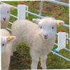 2Pcs Baby Bottles, 800ml Lamb Baby Bottle with Scale Hanging Plastic Milk Feeder Bottle Little Goat Calf Sheep Nursing Bottle with Handle view 4