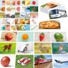 50 Noun Flashcards, Picture & Word Photo Cards Language Builder Visual Aid Language Learning Tool for Autism, ESL Teaching Materials for Adults, Non-Verbal Children Vocabulary Builder for Kids view 1
