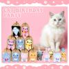 60 Pcs Adopt A Cat Party Favors Include 20 Mini Stuffed Kittens 20 Foldable Kraft Boxes 20 Birthday Hats Cat Party Favors Mini Plush Stuffed Animals for Adopt A Kitty Cat Party Supplies Gifts view 3