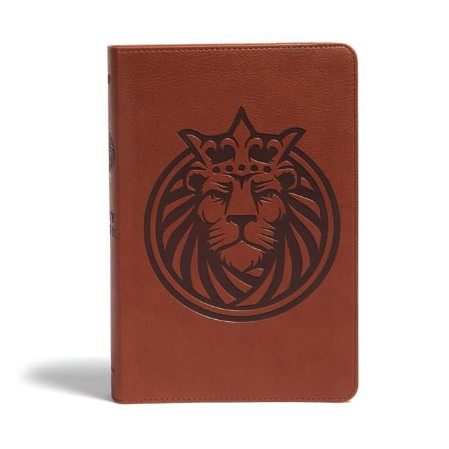 212 Main KJV Kids Lion LeatherTouch Bible, Brown