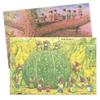 Mon coffret famille Souris view 4