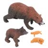 4 Pieces Brown Bear Model Set PVC Realistic Bear Figure Animal Life Cycle Model Education Entertainment view 2