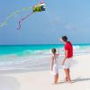 31Inch Colorful Rainbow Pocket Kite, Easy Flyer Kite with Long Tail and String Line, Not Need to Assemble, Beach Game and Outdoor Activity for Beginners, Kids and Adults(Style 3) view 4