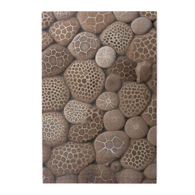 1000 Piece Jigsaw Puzzle for Adults Challenging Puzzle for Game Nights Wooden Puzzle Petoskey Stone Personalized Custom Wood Puzzle for Family Picture Puzzle Finished Size 29.5"x19.7"