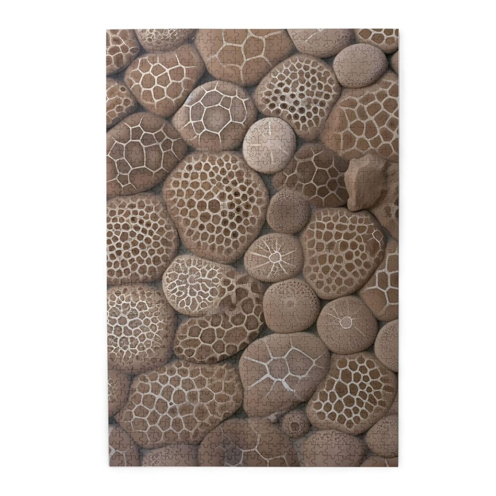 1000 Piece Jigsaw Puzzle for Adults Challenging Puzzle for Game Nights Wooden Puzzle Petoskey Stone Personalized Custom Wood Puzzle for Family Picture Puzzle Finished Size 29.5"x19.7"