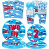 120 Pcs Airplane 2nd Birthday Party Supplies Two Fly Birthday Party Decoration Includes Paper Plates Cups Napkins Straws Forks Tableware for Aviation Theme Boys Two Years Old Birthday Decor Favors view 1